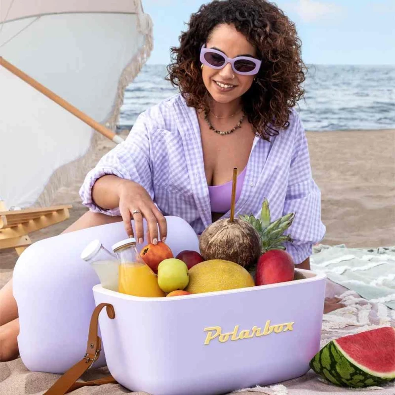 Termo çanta Polarbox 20L PLB20/M/CLASS