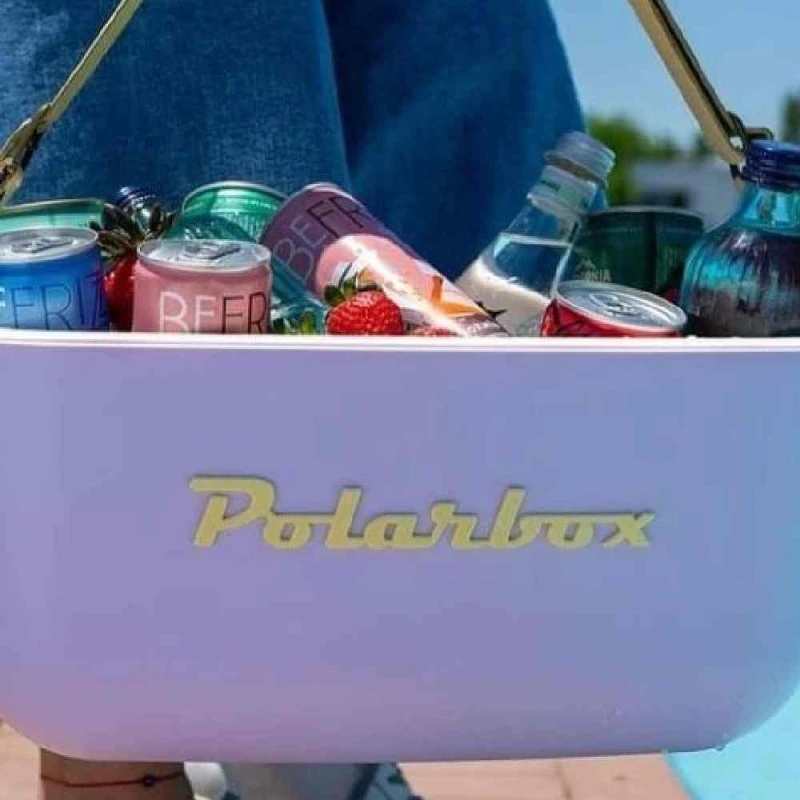 Termo çanta Polarbox 20L PLB20/M/CLASS