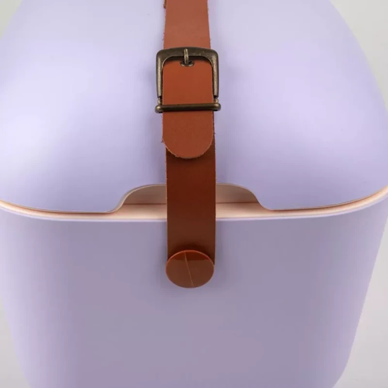 Termo çanta Polarbox 20L PLB20/M/CLASS