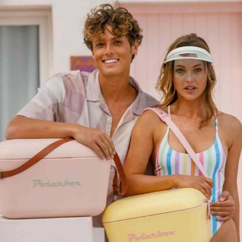 Термосумка Polarbox 20L PLB20/N/CLASS