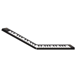 Carry-On Folding Controller 49