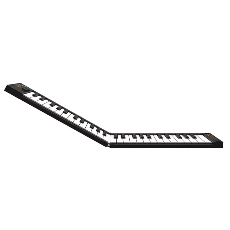 Carry-On Folding Controller 49