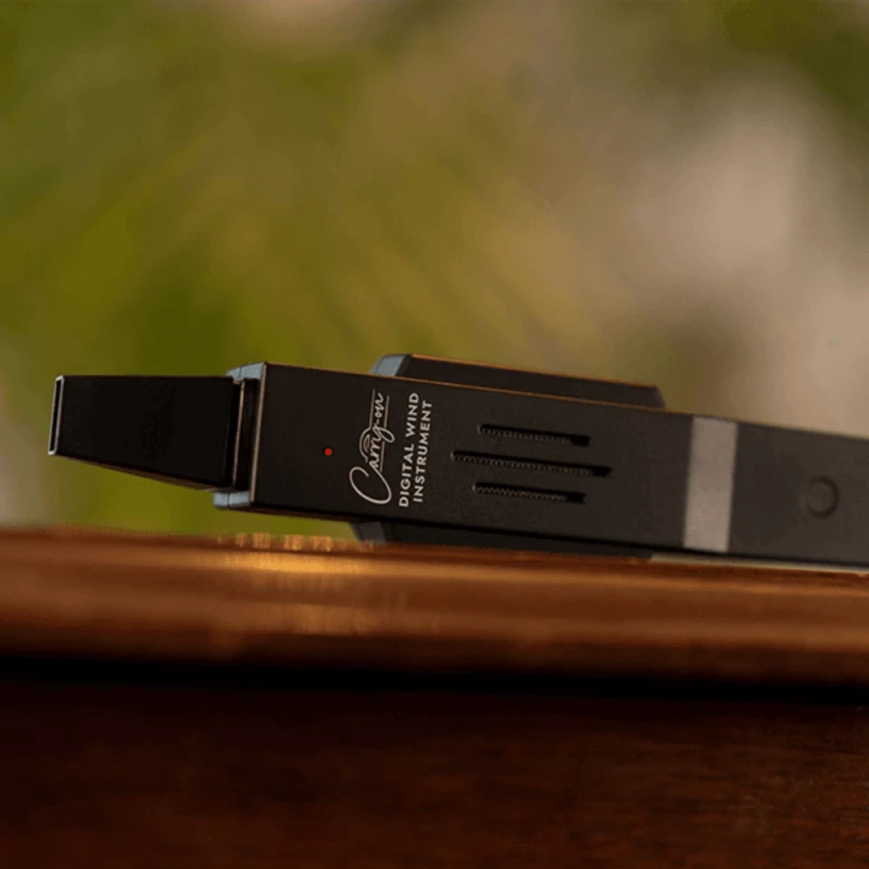 Цифровой духовой инструмент Carry-On Black