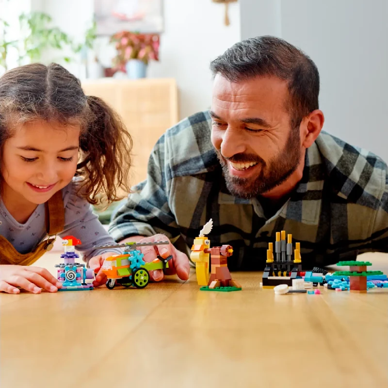 LEGO Classic Bricks and Functions / 11019