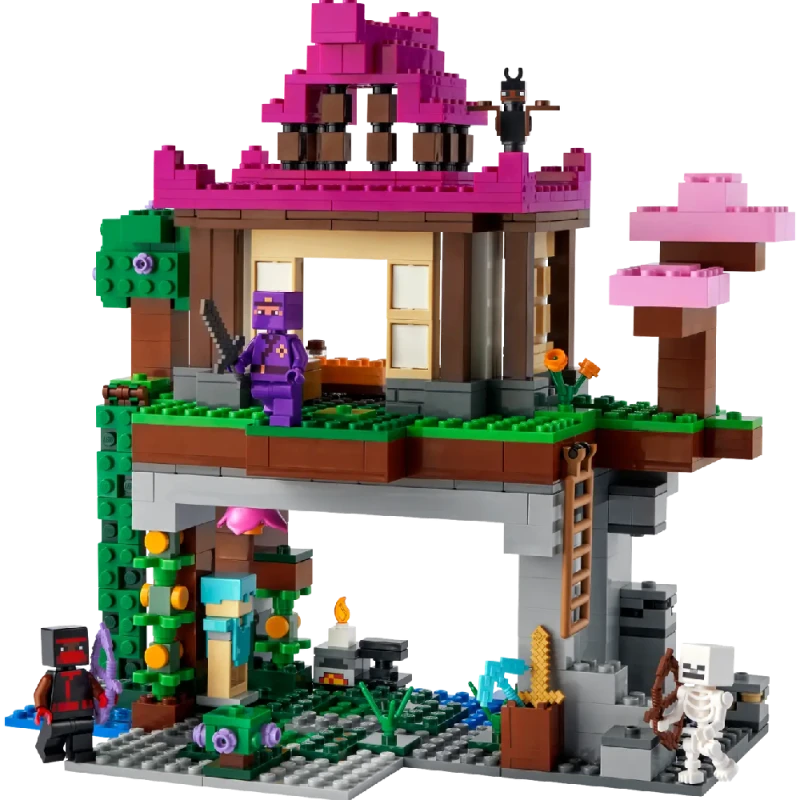 Конструктор LEGO Minecraft The Training Grounds 21183