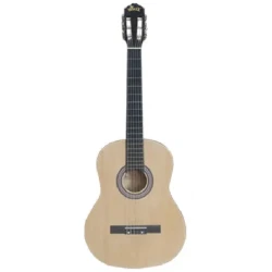 Гитара Winzz AC851 NT