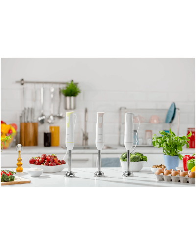 Blender Zelmer ZHB4551S