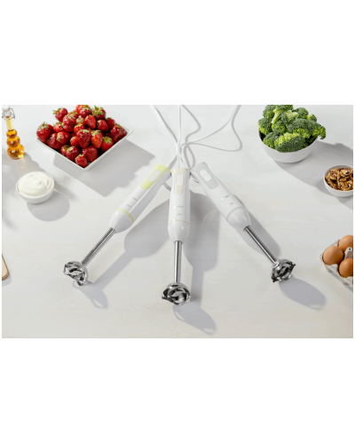 Blender Zelmer ZHB4551S
