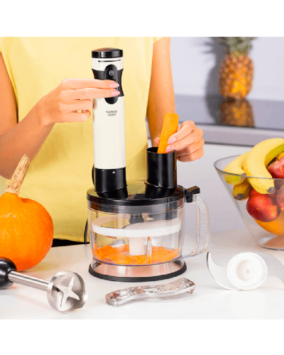 Blender Zelmer ZHB6500