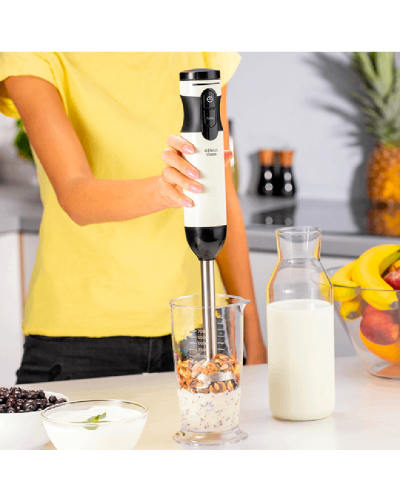 Blender Zelmer ZHB6500