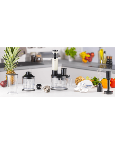 Blender Zelmer ZHB6500