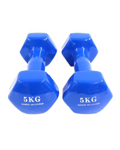 Dumbbell dəsti 530883