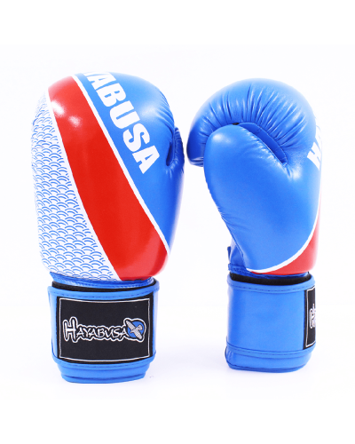 Hayabusa Boks əlcəyi 530902