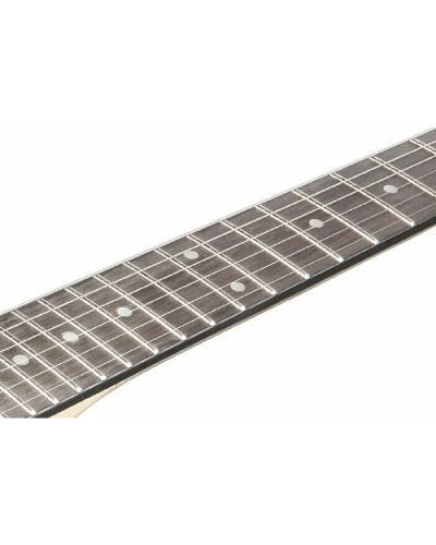 Elektrik gitara Ibanez GRGR221PA-AQB