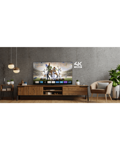 Televizor Panasonic TX-55MX600E