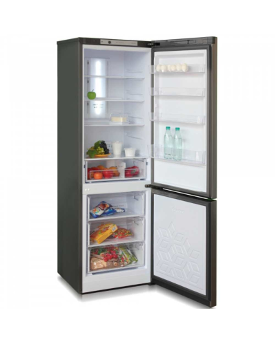 Soyuducu Biryusa NF I 860