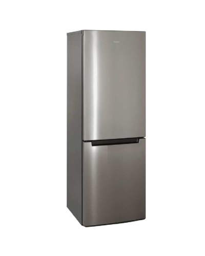 Soyuducu Biryusa NF I 820