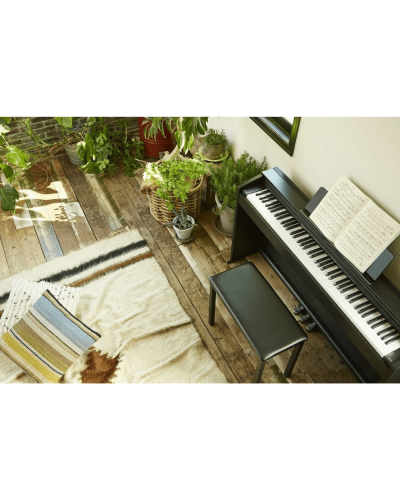 Casio Privia PX-870 BK