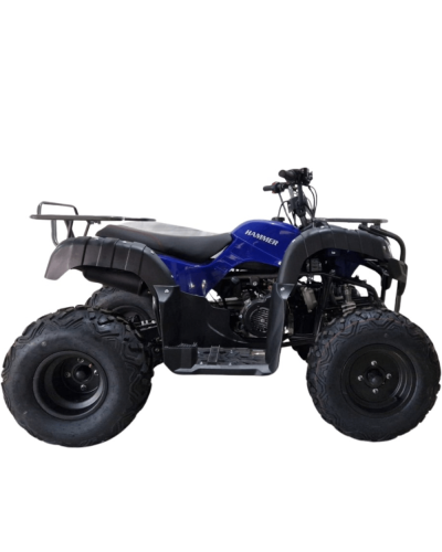 Kvadrosikl KAXA 17 ATV 200 Göy