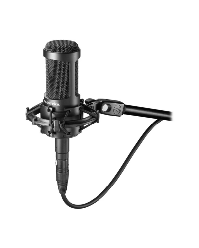 Audio-Technica AT2050