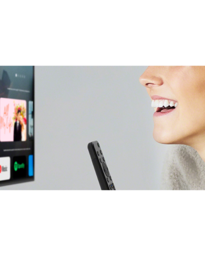 Televizor Sony KD-55X80L
