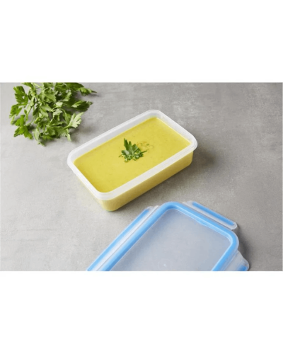 Saxlama qabı dəsti TEFAL Masterseal Fresh Gurme 5 parça 3110600651