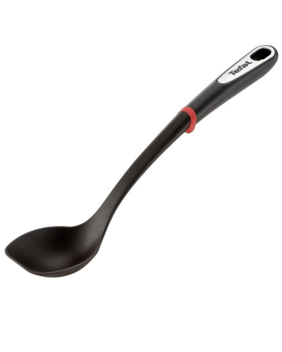 Qaşıq Tefal İngenio 2100087323