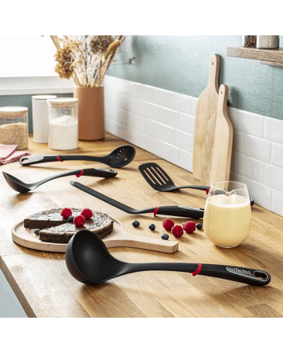 Qaşıq Tefal İngenio 2100087323