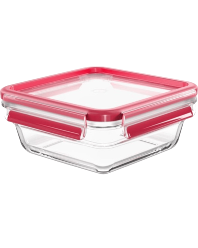 Saxlama qabı TEFAL Masterseal 3110600761