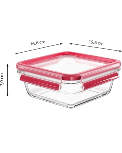 Saxlama qabı TEFAL Masterseal 3110600761
