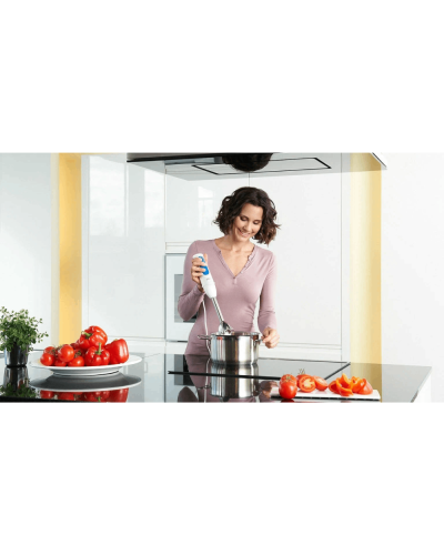 Blender Braun MQ3045WH