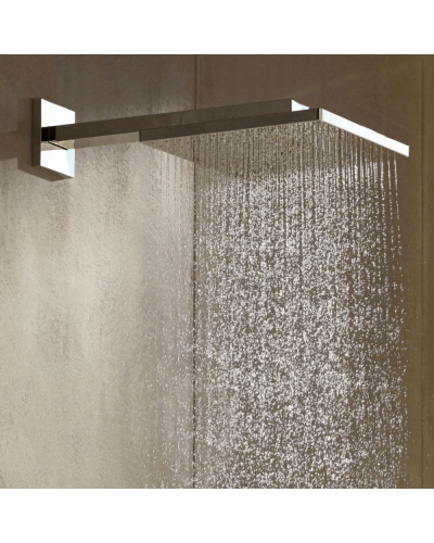 Təpə duş Hansgrohe 26238000