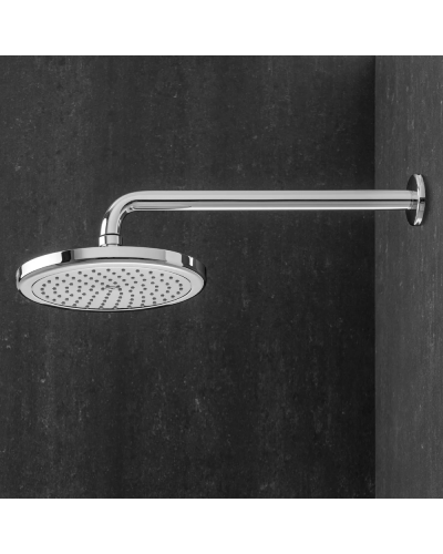 Təpə duş Hansgrohe 26464000