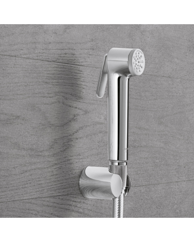 Gigiyenik Duş Grohe / 26352000