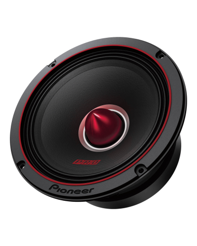 Dinamik Pioneer TS-M651PRO