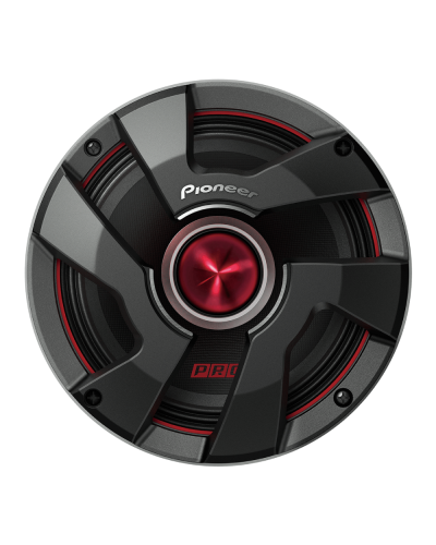 Dinamik Pioneer TS-M651PRO