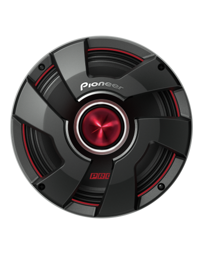 Dinamik Pioneer TS-M801PRO
