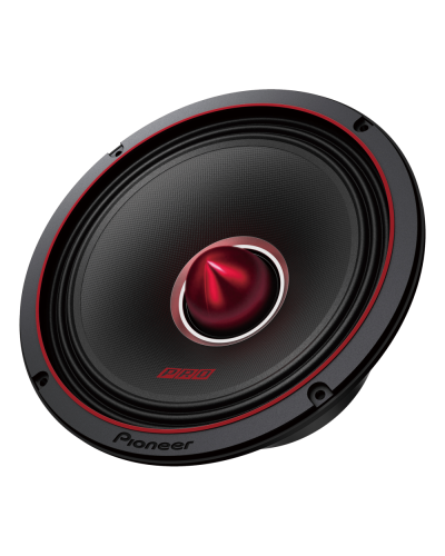 Dinamik Pioneer TS-M801PRO