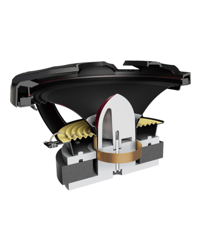 Dinamik Pioneer TS-M801PRO