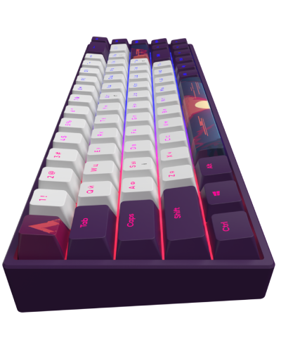 Gaming Keyboard Dark Project 68 Sunrise G3MS Mech RGB / DPP68-GSH-SUNR-ANSI-UA