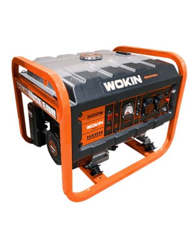 Generator Wokin W791230