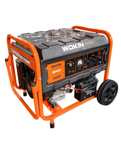 Generator Wokin W791280
