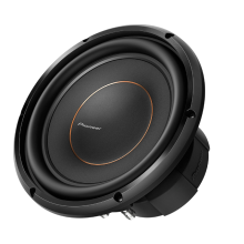 Pioneer TS-D12D4