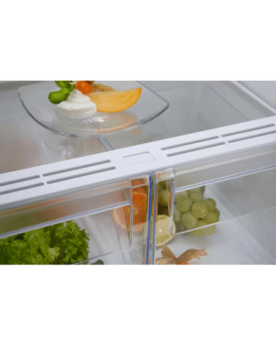 Soyuducu Electrolux RNT6NE18S
