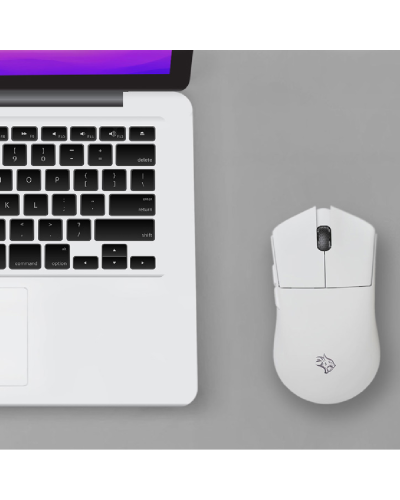Gaming mouse Porodo 3IN1 Lightfeather 7D Gaming White / PDX319-WH