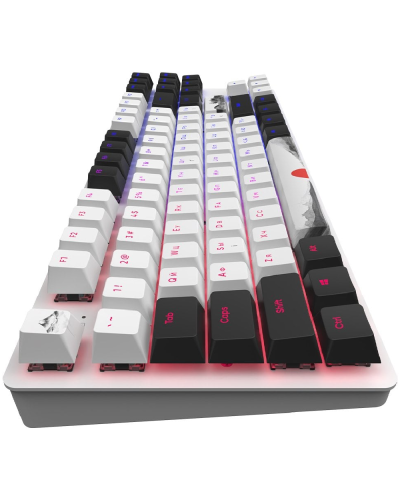 Gaming Keyboard Dark Project One 87 Fuji G3MS Mech RGB / DPO87_GSH_FUJI_ANSI_UA