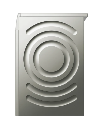 Paltaryuyan Bosch WGB2560XME
