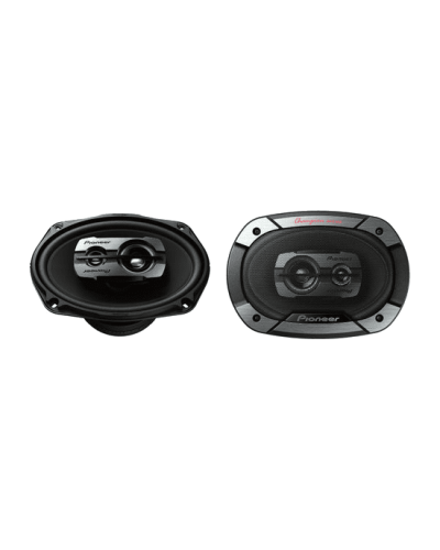 Pioneer TS-6975V3