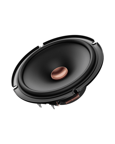 Pioneer TS-D65C