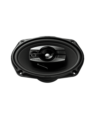Pioneer TS-6965V3